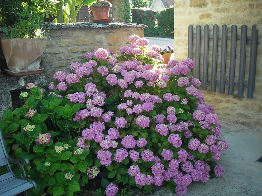 Les 4 Saisons Guest House Sarlat-la-Caneda Exterior photo
